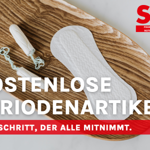 Bis zur Menopause haben Mädchen und Frauen durchschnittlich 500-mal ihre Regelblutung. Die SPD-Kreistagsfraktion will, dass Menstruationsartikel in allen Gebäuden des Landkreises Rotenburg kostenlos zur Verfügung gestellt werden.